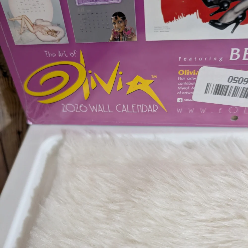 ♥️The Art of Olivia De Berardinis Bettie Page 2026 Wall Calendar SEALED NEW